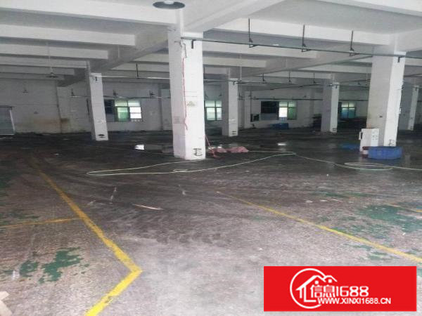 平湖平湖辅城坳，山厦，富民区厂房1500平米