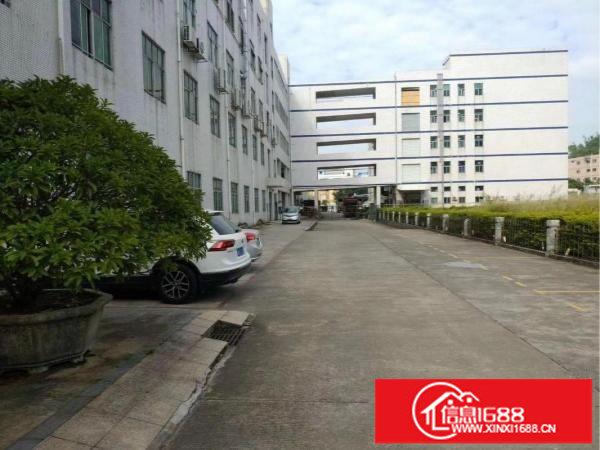 横岗大马路边一楼6.5米高一楼厂房出租