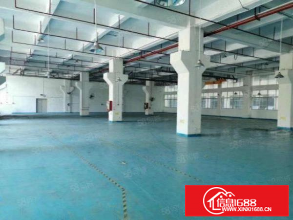 顺德北滘一楼厂房招租1500方价格优惠交通方便B