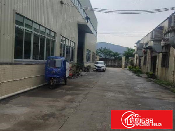 横沥东兴工业区单一层独院厂房1200平方招租，滴水8米