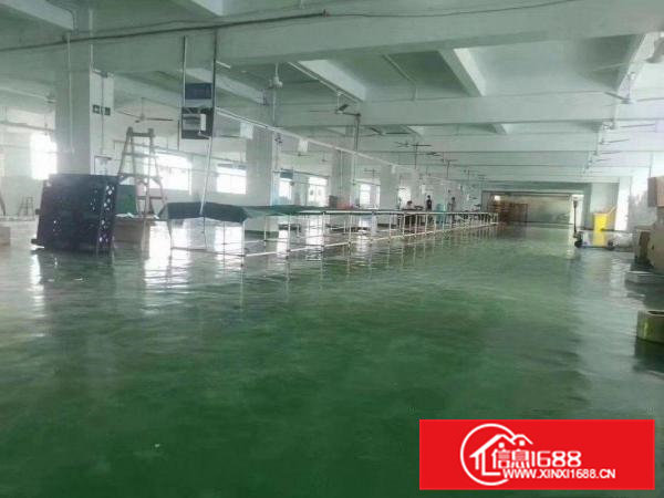 常平高速路口新出工业园分租一整层3000平方