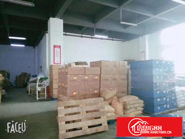 镇隆镇甘陂村村新出一楼2000平方，通水通电通气，6米高