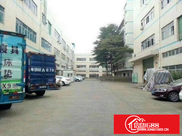 新坪山碧岭带精装修原房东无公摊低价出租k