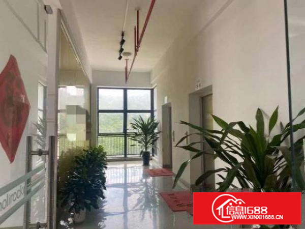 开发商自有物业，8楼3300平