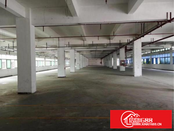 丹竹头2130平方仓库出租