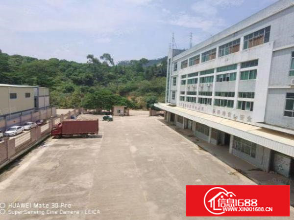 凤岗独院9100平现成冻库可做配送仓储物流空地4000平