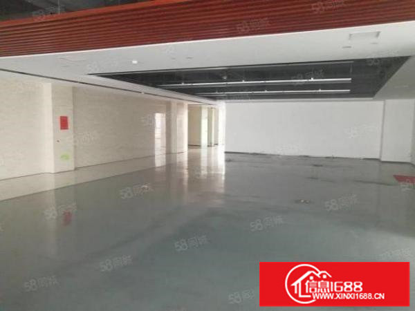 沙湾樟树布现成装修厂房160平280平360平500平