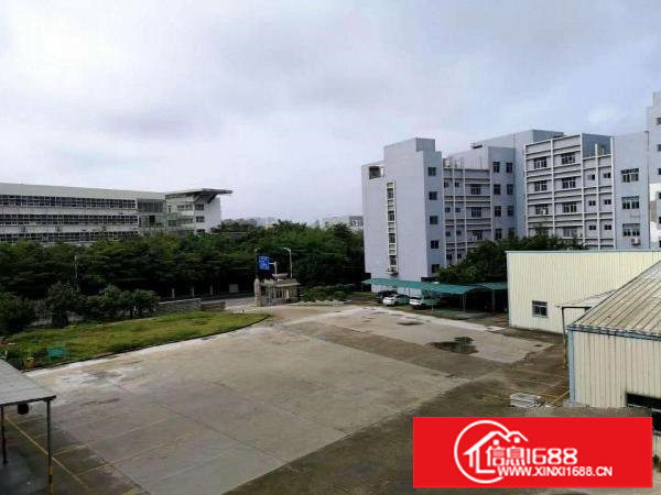 红本独院物业4.3万平出租可租10年可分租