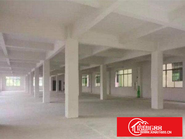 常平镇白石岗新出楼上1800平电梯厂房招租