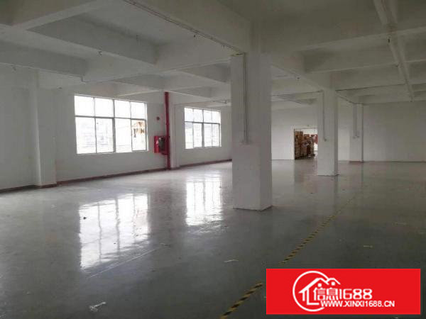 龙华大浪同富屯新出2层厂房共4000平左右出租