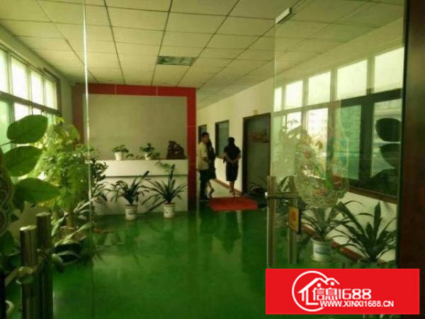 龙岗坪地花园式厂房适合生物医疗研发科技实验室等