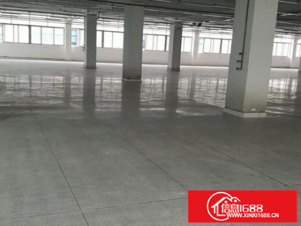 出租宝安区福永桥头富海工业区