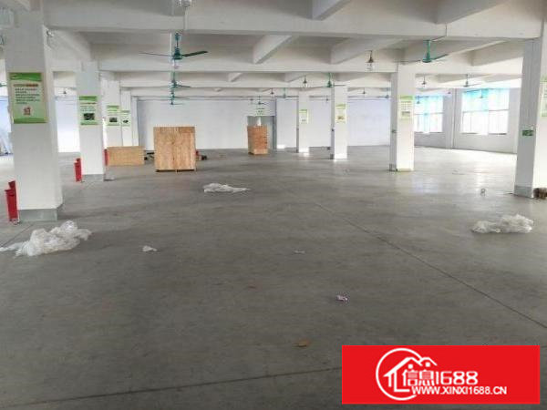 平湖标准1350方可分租，形象漂亮，一线大路边