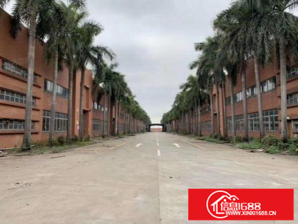 国有证形象好,伦教5610方简易厂房,电大可办环评