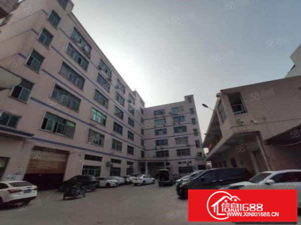 100平分租龙华大浪工业园独院精装1000平仓库厂房出租转租