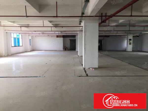 松岗标准厂房分租，可做模具冲床注塑电子贴片印刷光电设备