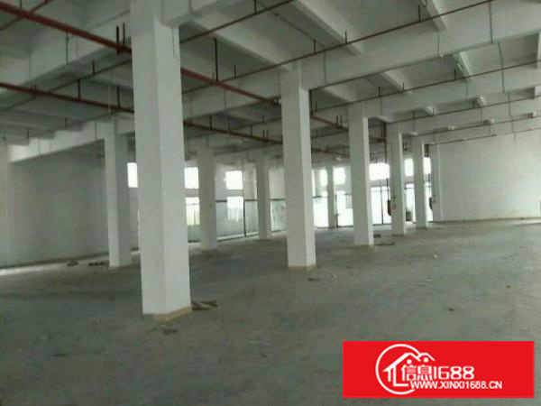 观澜环观南路白鸽湖加油站1200平方1楼厂房出租