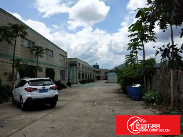 镇隆205国道边8000平方独院厂房招租