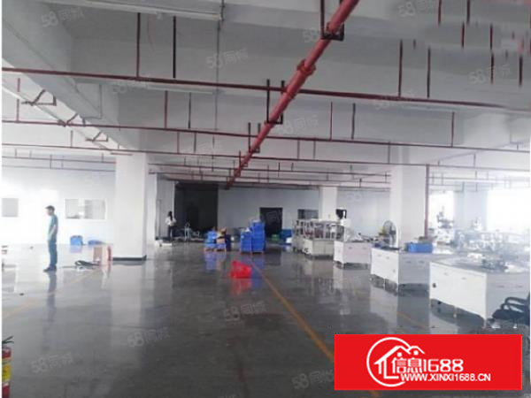 塘厦大坪独院标准2楼820平方！消防合格!电梯直达