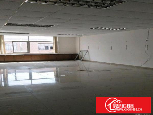 龙岗中心城南联工业区独院厂房招租3600平米可分租