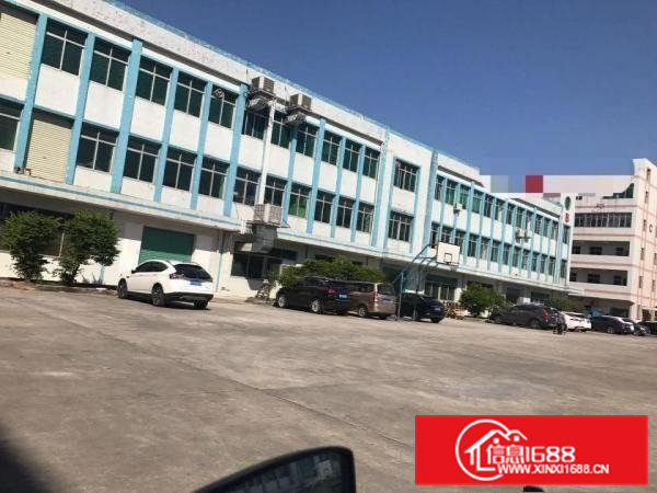 常平靠近大朗还珠沥大型工业区新出楼上600平方出租