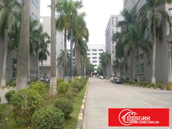 花园式，锦厦一楼厂房1500平靠松岗碧头