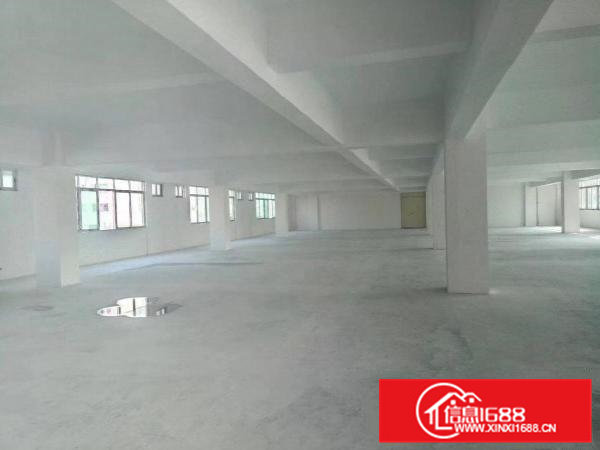 出租高埗镇高埗城区厂房