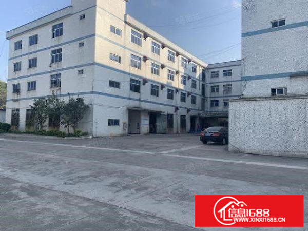 桥头大洲新出原房东独门独院标准加钢结构20300平方