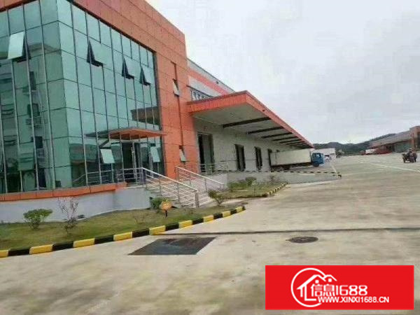 带卸货台，陈村丙二类消防高台物流仓，拖头可进