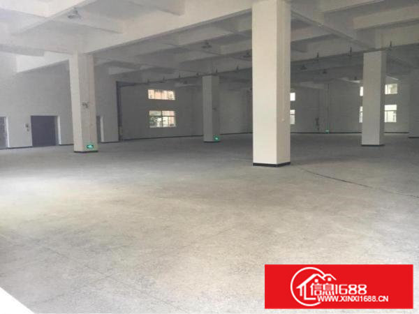 大岭山镇800平方标准一楼厂房出租