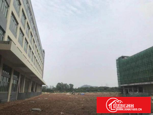 镇隆原房东11000平独院厂房出租（手续齐全）