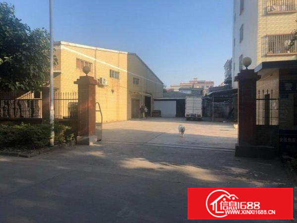 企石镇原房东单层厂房招租（可分租）