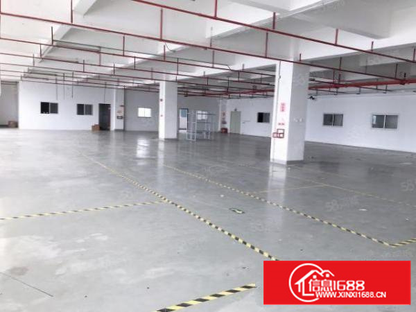 石排原房东独院标准独院厂房分租1楼2200平方，工业用地