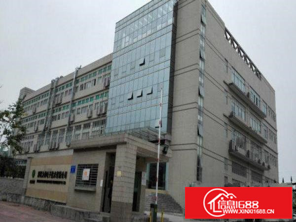 大浪服装基地新出23000平厂房火带喷淋爆红本