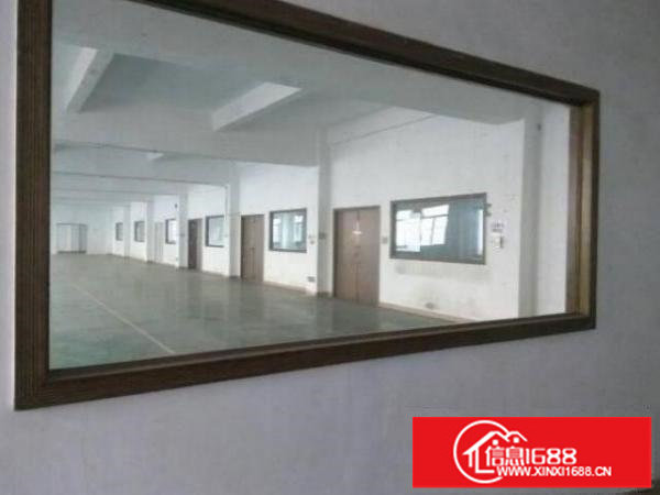 坂田！五和利金城科技园带装修厂房1600平方可分租