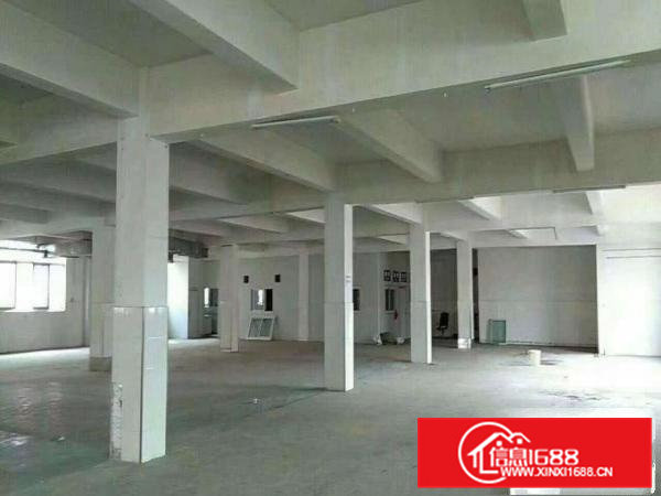 高埗楼上1700平方优质楼房出租