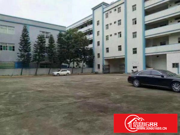 仲恺陈江独门独院11000平米厂房招租也可分租