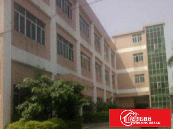 高埗独院标准厂房仓库550至2100平方招租标准厂房.一楼