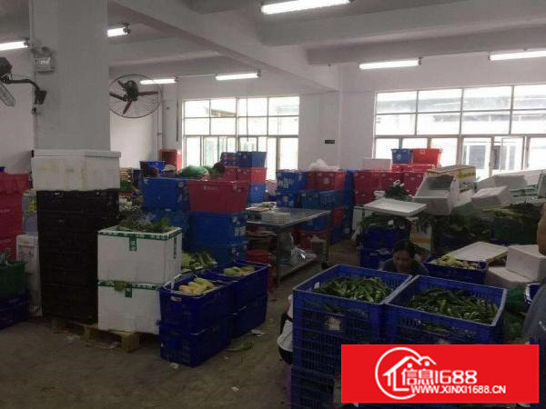 平湖白泥坑海吉星附近现成2层3000平独门独院带冷库急租