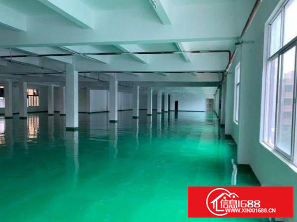 一楼标准厂房整层2000平大小面积可以分租
