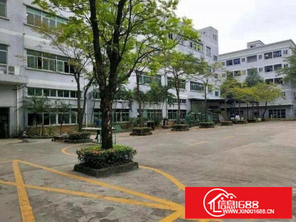 出租龙岗区平湖独院厂房一楼有1500平方