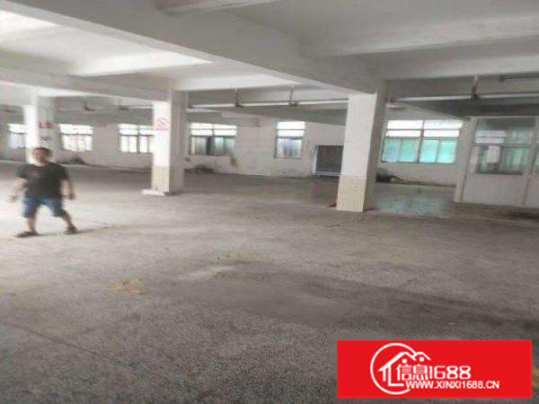 横岗六约社区宸和路附近一楼1200平厂房出租可分租