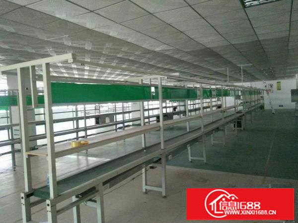 新田新出3楼1300平方带装修