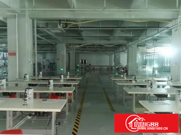 樟木全新高新园区10000平方大小可分租适合五金电子电商行业