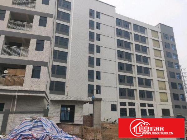 大岭山全新标准厂房独院50000平方，