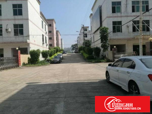 龙岗坪地坪西3层3900平米超靓独院招商