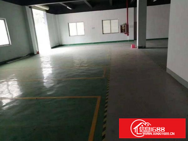 坪地坪东独院厂房3000平方出租可分层租