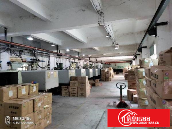 宝龙一楼二楼厂房独院标准厂房出租