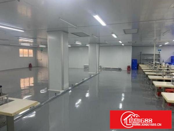 寮步新千级无尘车间原房东无公摊