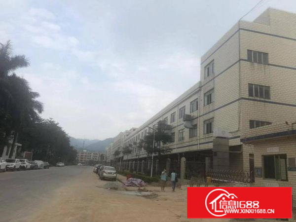 黄江长龙工业区原房东标准三层13200实际面积厂房出租